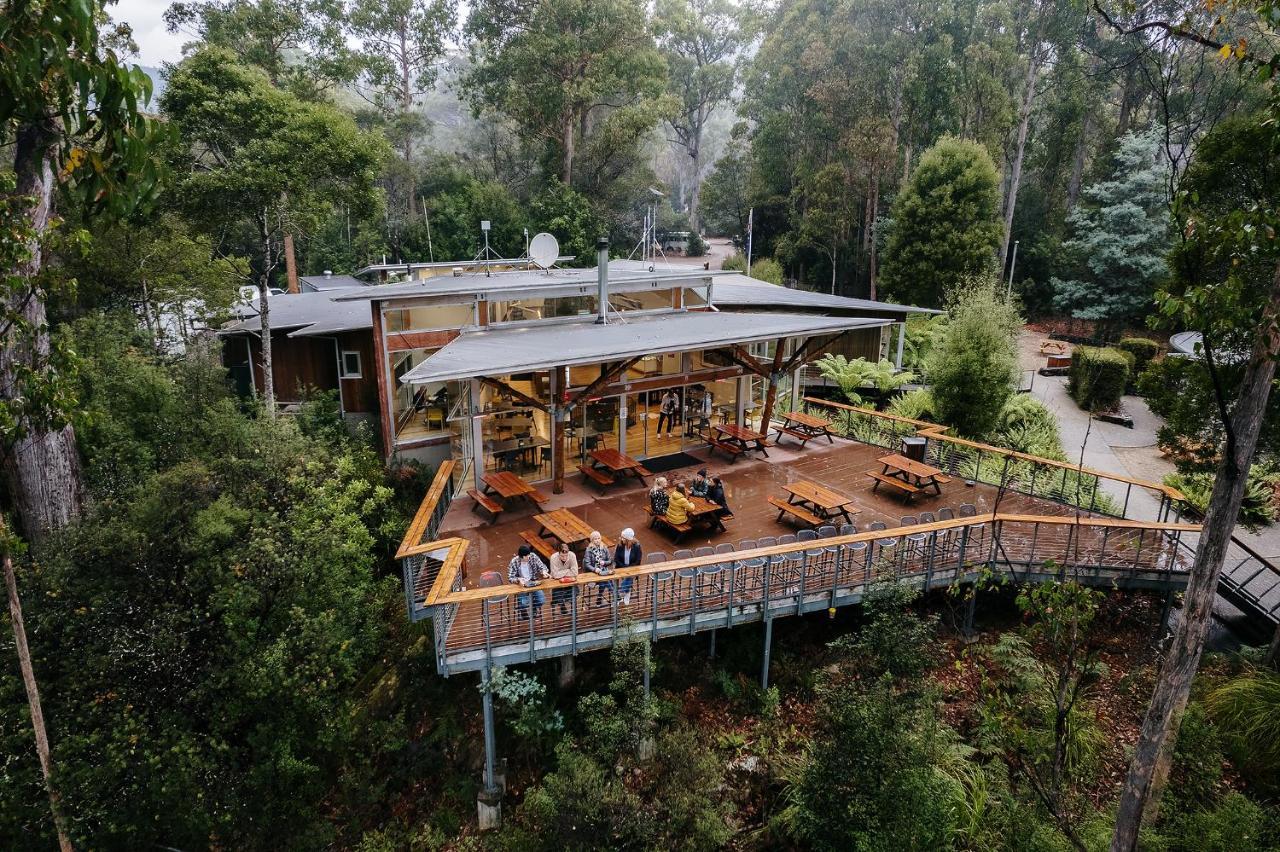 Tahune Airwalk Cabin And Lodge Geeveston Eksteriør bilde