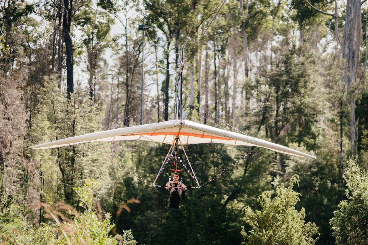 Tahune Airwalk Cabin And Lodge Geeveston Eksteriør bilde