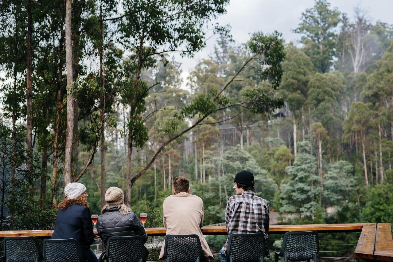 Tahune Airwalk Cabin And Lodge Geeveston Eksteriør bilde