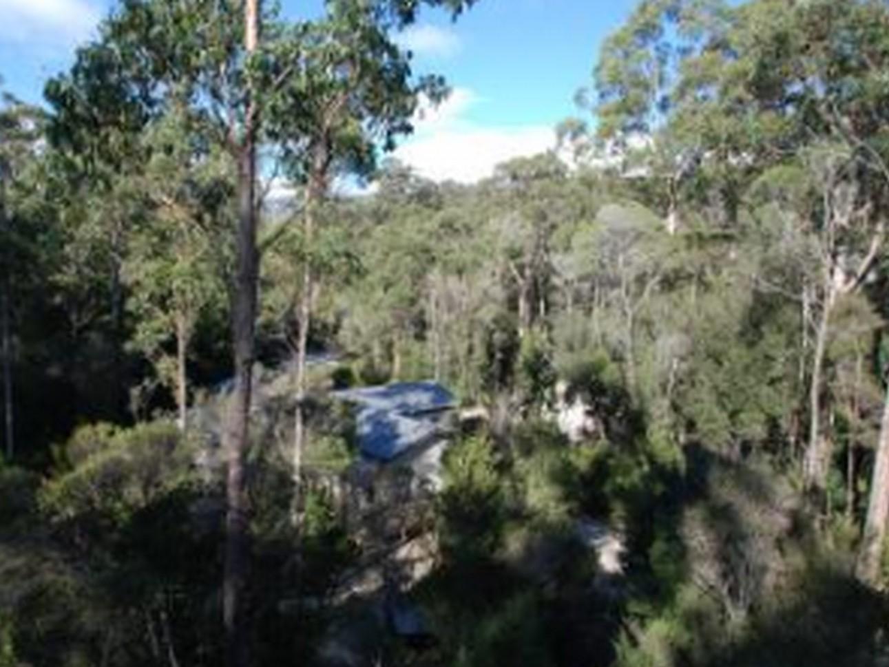 Tahune Airwalk Cabin And Lodge Geeveston Eksteriør bilde