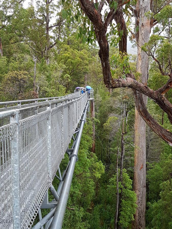 Tahune Airwalk Cabin And Lodge Geeveston Eksteriør bilde