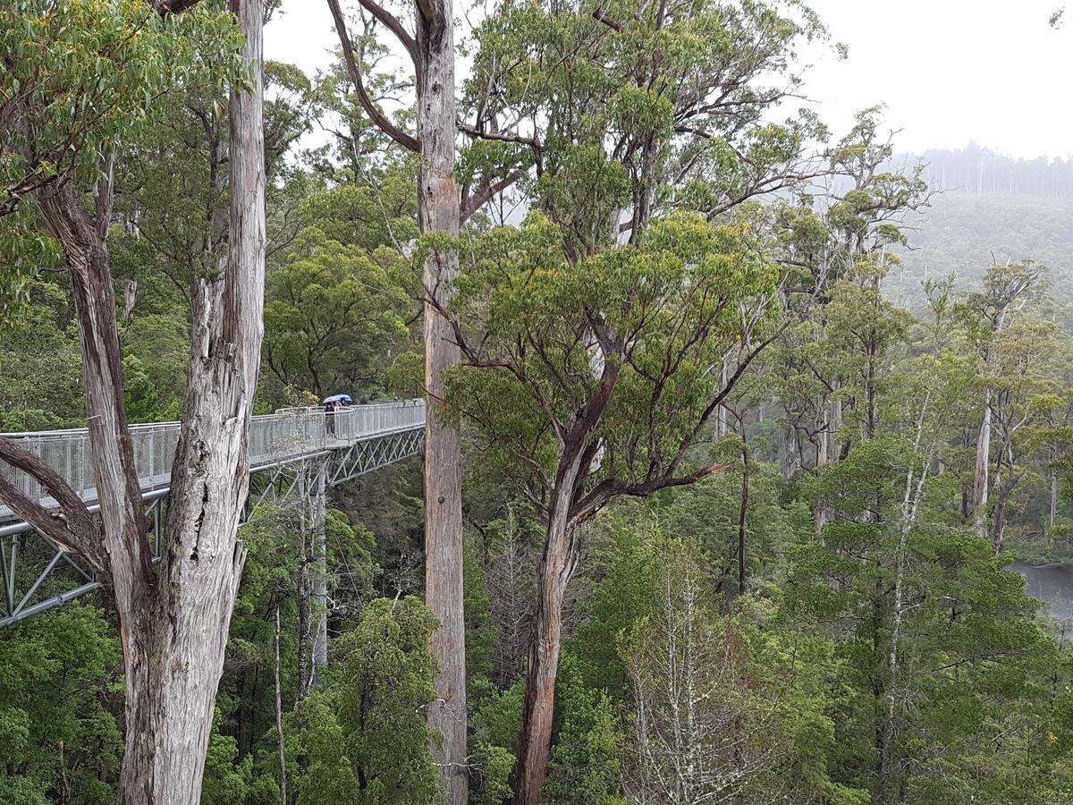 Tahune Airwalk Cabin And Lodge Geeveston Eksteriør bilde