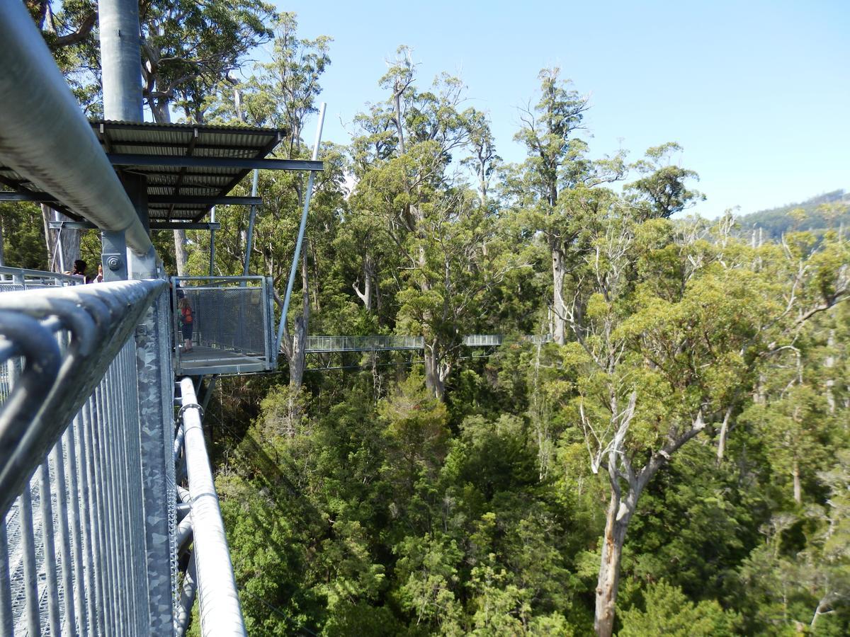 Tahune Airwalk Cabin And Lodge Geeveston Eksteriør bilde