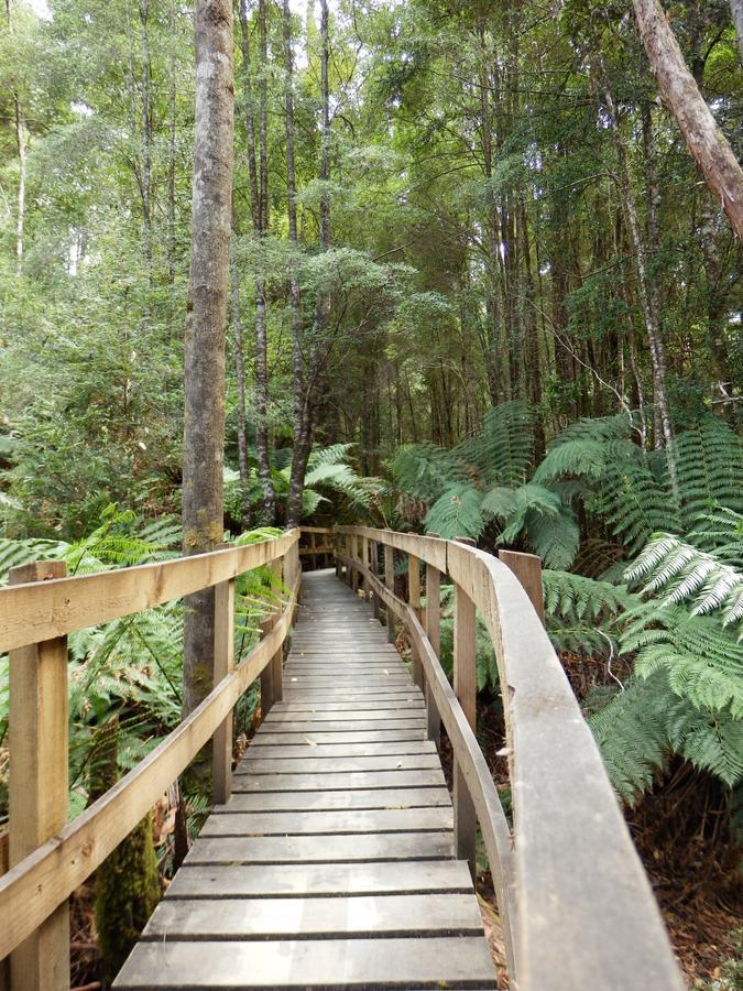 Tahune Airwalk Cabin And Lodge Geeveston Eksteriør bilde