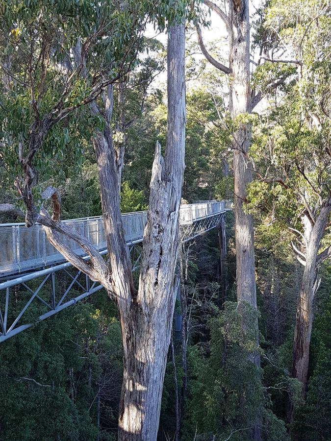 Tahune Airwalk Cabin And Lodge Geeveston Eksteriør bilde