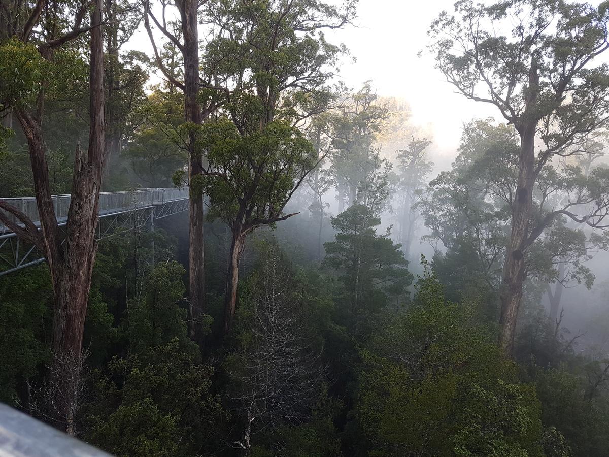 Tahune Airwalk Cabin And Lodge Geeveston Eksteriør bilde