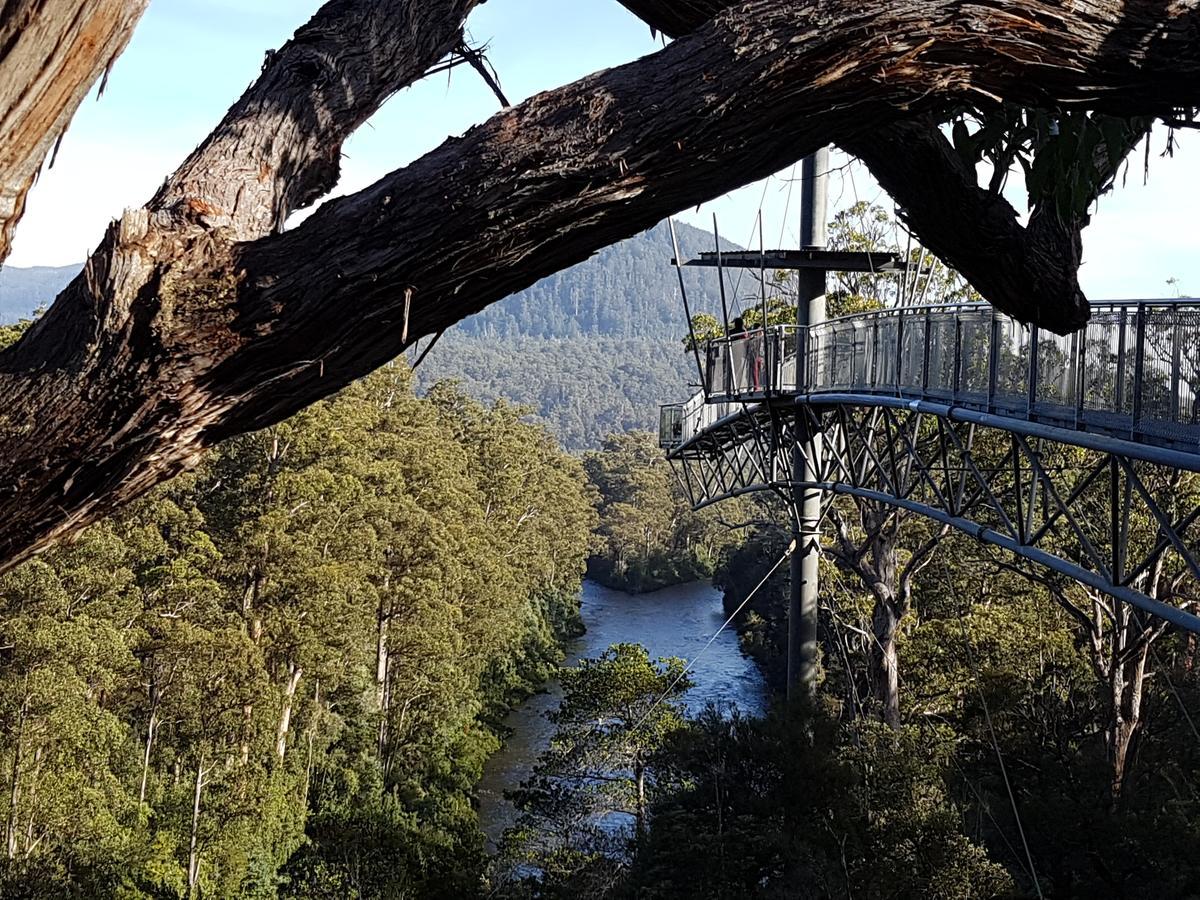 Tahune Airwalk Cabin And Lodge Geeveston Eksteriør bilde